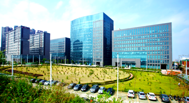 鲜果礼盒团购市场趋势与品质管控要点解析